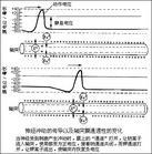 神經衝動