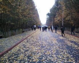 新疆大學科學技術學院 