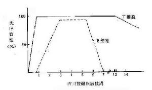 免疫耐受