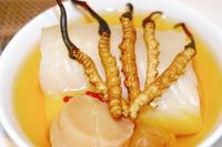 Cordyceps