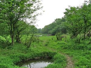 麗水九龍國家濕地公園