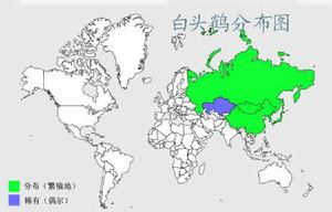 白頭鶴分布圖