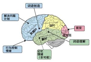 語義記憶