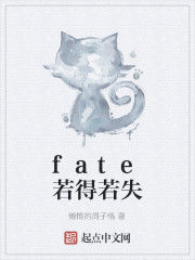 fate若得若失