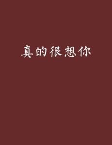 真的很想你[可風演唱的歌曲]