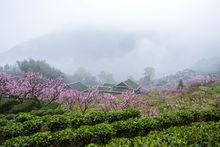 玉林村[福建省穆雲畲族鄉玉林村]