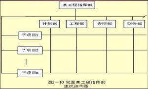 線性組織結構