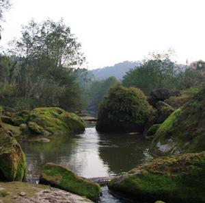 龍台河