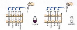 酸鹼指示劑