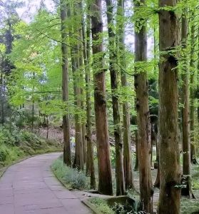 金鳳山公園