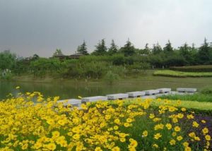 山西鳳凰山生態植物園