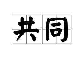 共同[詞語釋義]