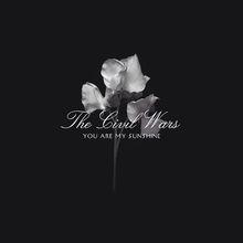 The Civil Wars