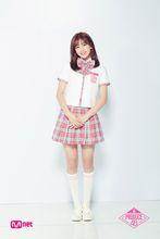 PD48公式照