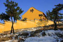 白龍寺新建廟宇