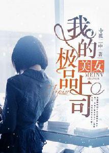 我的極品美女上司[凌雲文學網小說]