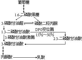 磷酸甘油酸激酶