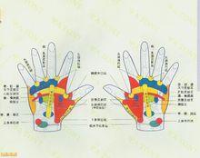 手部穴點陣圖