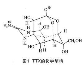 TTX[石泰集團旗下德國品牌]