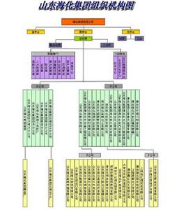 山東海化集團組織機構示意圖