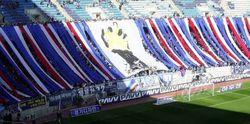 tifo