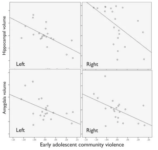 左右海馬體及杏仁核體積與青少年時期目睹的社區暴力之間的關聯