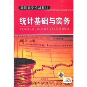 統計基礎與實務[2010年經濟科學出版社出版書籍]