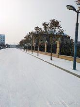 寒冬雪後的羅陽街道美景