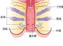 外陰痛