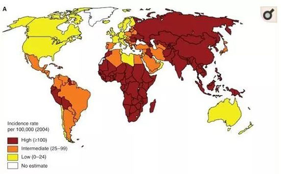 結核病分布圖