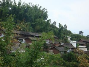 大板橋村[雲南省楚雄市牟定縣新橋鎮下轄村]