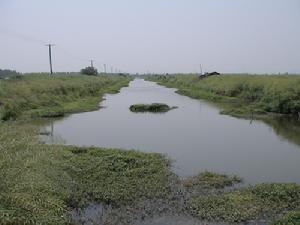 荒湖農場