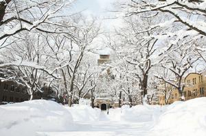 北大雪景