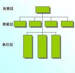 職能型組織結構