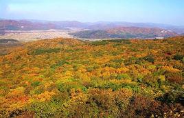 松峰山