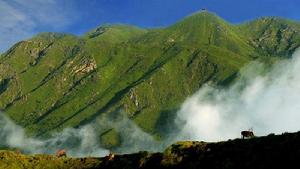 桂東縣八面山