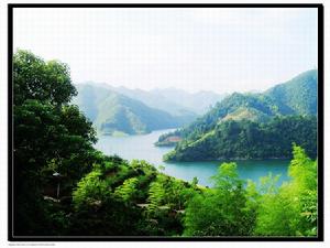 黃山原野旅行社