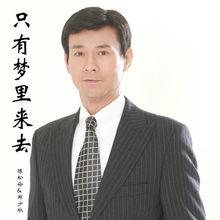 《只有夢裡來去》演唱者：鄭少秋