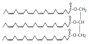 甘油三酯型DHA