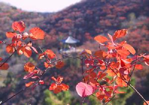 Fragrant Hills