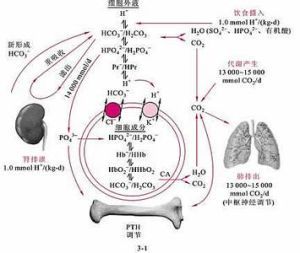 二氧化碳分壓