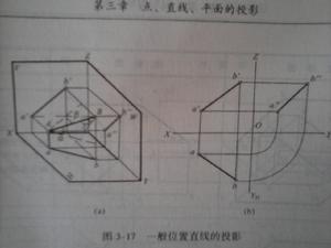 一般位置直線