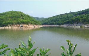 集雲山森林公園