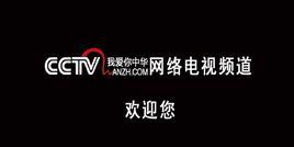 CCTV我愛你中華