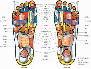 腳底穴位