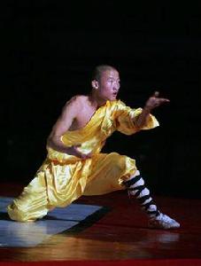 老洪拳