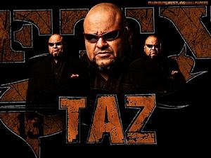 taz