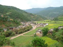 田心村[楚雄市中山鎮灑巴苴村委會下轄村]