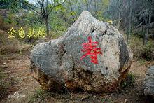 天靈山神龜駝桃