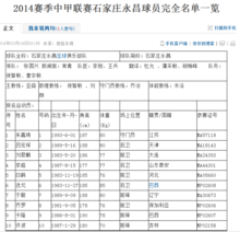 朱嘉琦[中國足球運動員]